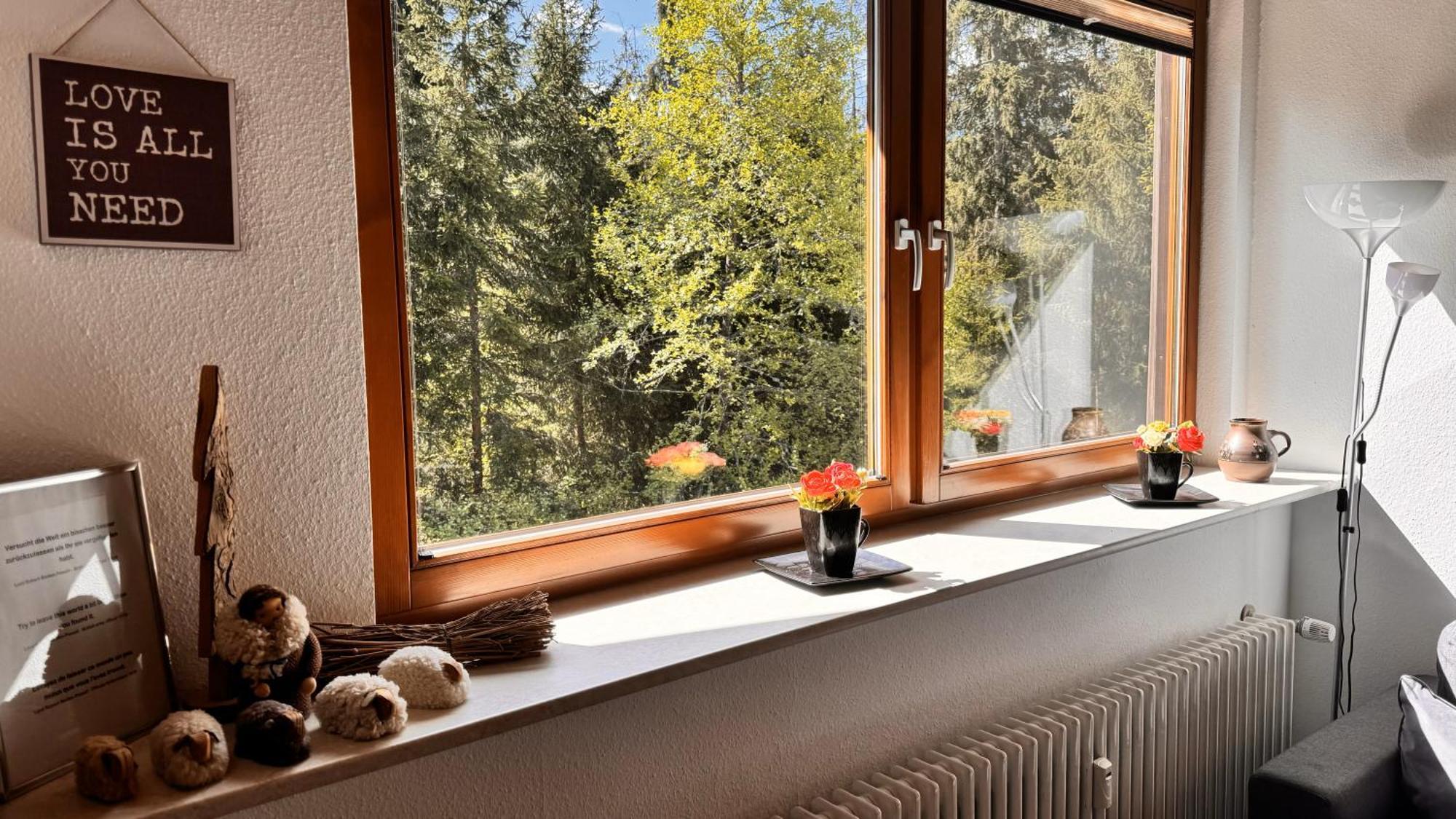 Waldlicht Titisee Exterior photo